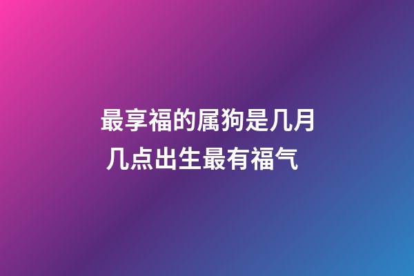 最享福的属狗是几月 几点出生最有福气